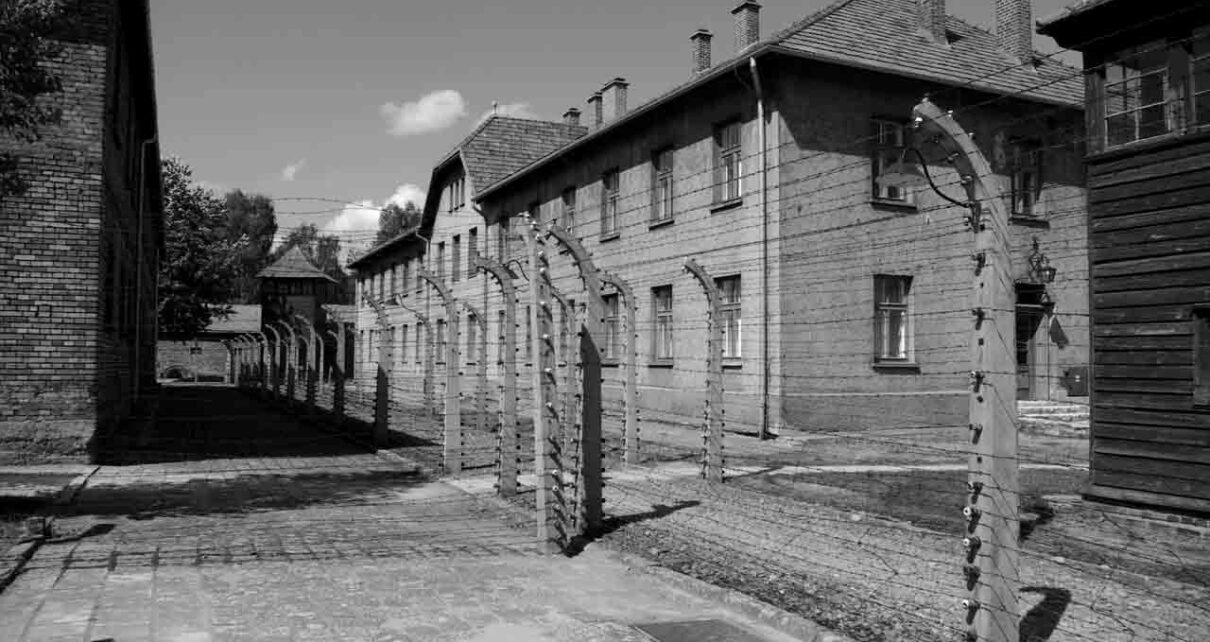 Освенцим — биологический материал нацистского режима