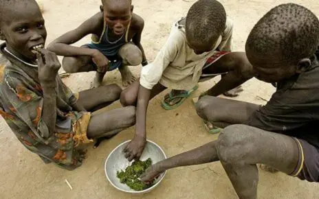 Голод в Африке: Катастрофа на прародине человечества
