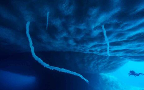 Брайникл — ледяной палец смерти под водой