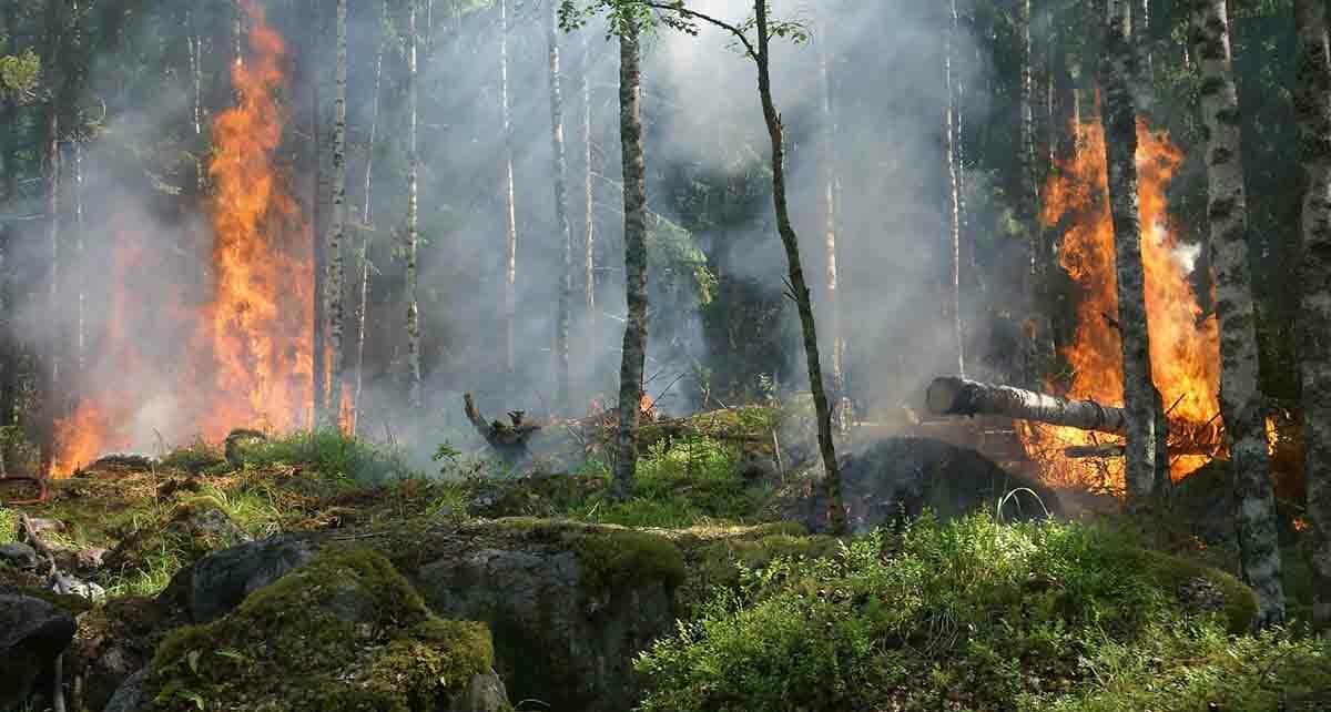 Пожар в Курше-2: дорога в ад